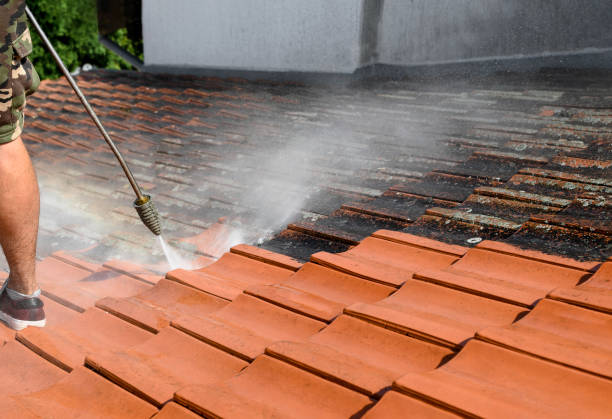 Best Residential Pressure Washing Services  in Royal Oak, MI