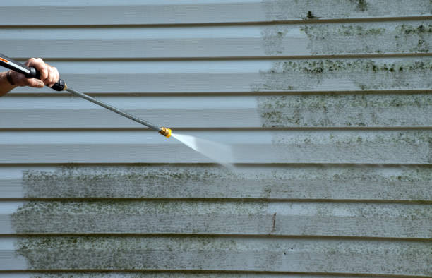 Best Roof Pressure Washing  in Royal Oak, MI