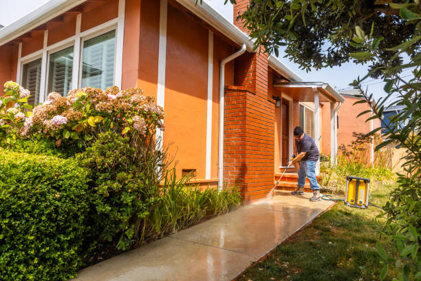 Best Exterior Home Cleaning  in Royal Oak, MI