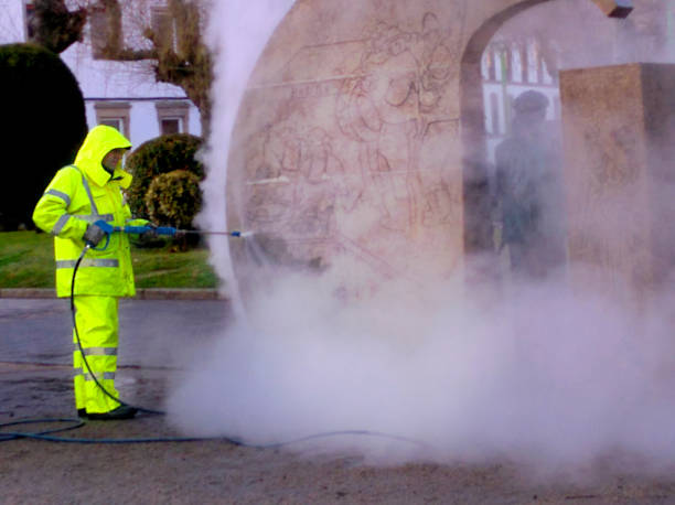 Best Roof Power Washing Services  in Royal Oak, MI