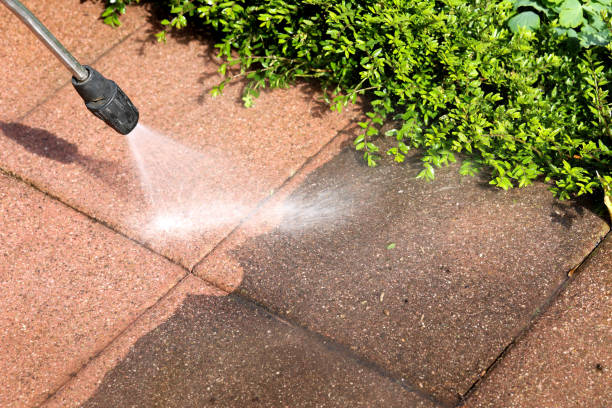 Best Affordable Pressure Washing  in Royal Oak, MI