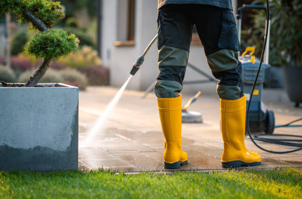 Professional Pressure Washing in Royal Oak, MI